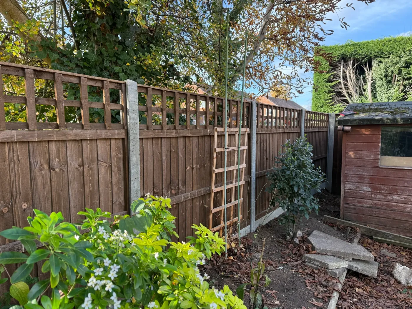 Trellis topped fence panels fitted in a back garden